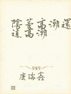 阴蒂高潮还是阴道高潮 阴蒂高潮还是阴道高潮