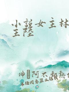 小说女主林晚男主陆