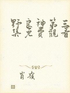 野良神第三季全集免费观看