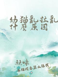 幼猫乱拉乱尿是什么原因