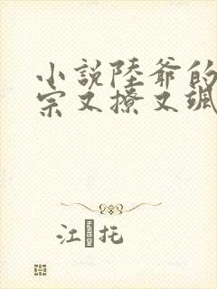 小说陆爷的小祖宗又撩又飒免费