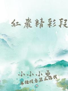 红岩精彩段落