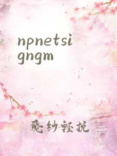 npnetsigngm
