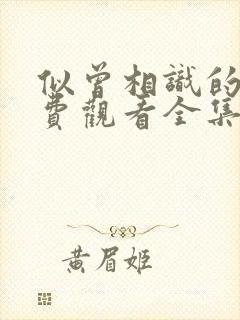 似曾相识的她免费观看全集完整版