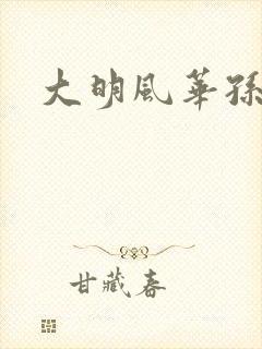 大明风华孙若微