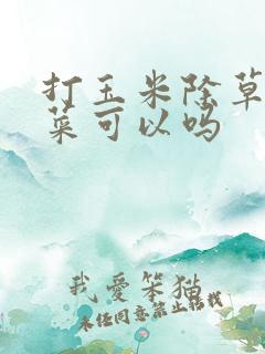 打玉米除草剂种菜可以吗