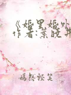 《婚里婚外》 作者:叶晓井