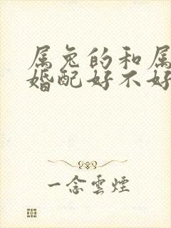 属兔的和属牛的婚配好不好