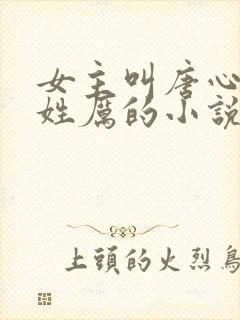 女主叫唐心男主姓厉的小说