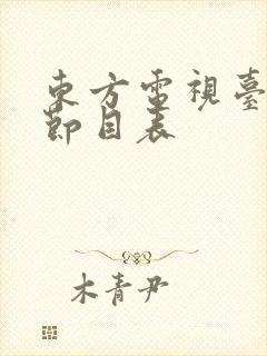 东方电视台卫视节目表