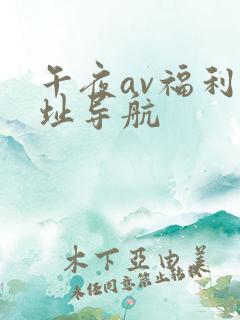 午夜av福利网址导航
