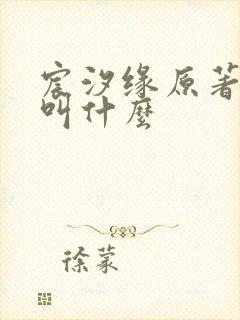 宸汐缘原著小说叫什么