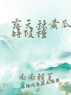 露天秋黄瓜什么时候种