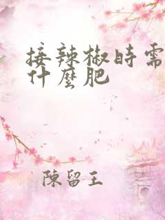 接辣椒时需要施什么肥