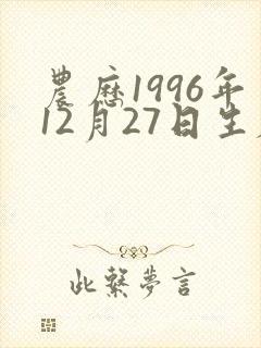 农历1996年12月27日生辰八字