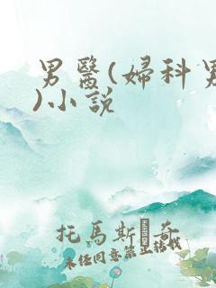 男医(妇科男医)小说