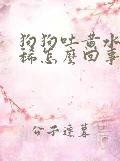 狗狗吐黄水不拉稀怎么回事