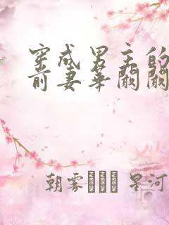 穿成男主的炮灰前妻华阚阚