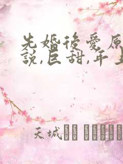 先婚后爱原耽小说,巨甜,年上
