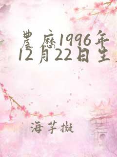 农历1996年12月22日生辰八字
