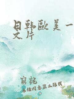 日韩欧美一级中文片