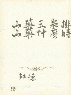 山药玉米排骨汤山药什么时候放进去