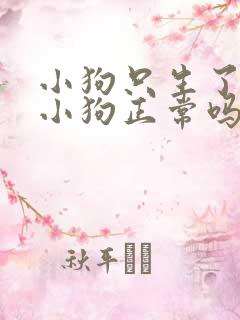小狗只生了一只小狗正常吗