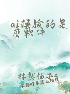 ai换脸的是什么软件