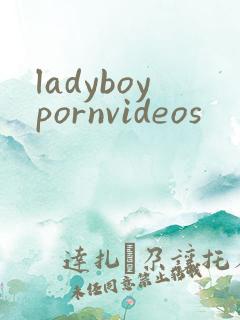 ladyboypornvideos