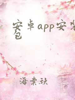 安卓app安装包 安卓app安装包