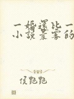 一婚还比一婚高小说晨雾的光