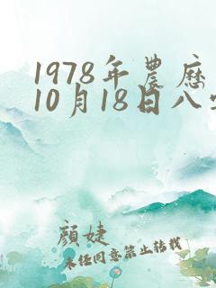 1978年农历10月18日八字算命