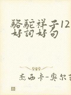 骆驼祥子12章好词好句 骆驼祥子12章好词好句