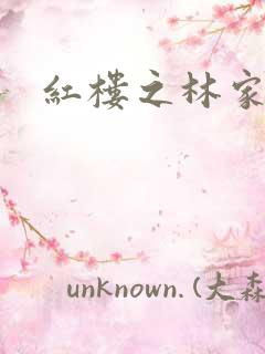 红楼之林家宗主