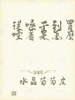 从嗓子到胃感觉噎着是怎么回事