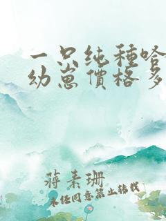 一只纯种哈士奇幼崽价格多少钱