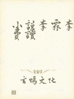 小说李霖李澜免费读