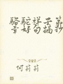 骆驼祥子第14章好句摘抄及感悟