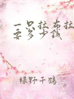 一只拉布拉多狗要多少钱