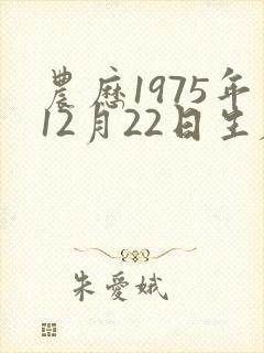 农历1975年12月22日生辰八字