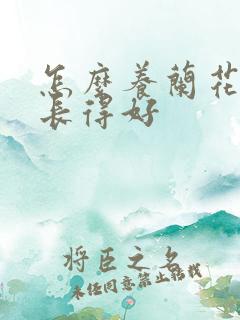 怎么养兰花才能长得好