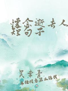 怀念逝去人的简短句子 怀念逝去人的简短句子