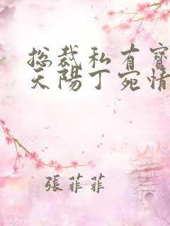总裁私有宝贝穆天阳丁宛情 总裁私有宝贝穆天阳丁宛情