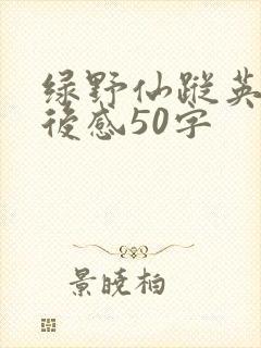 绿野仙踪英文读后感50字