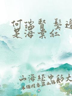 何瑞贤 鬓边不是海棠红