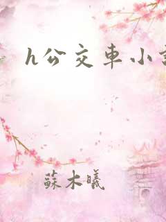 h公交车小说