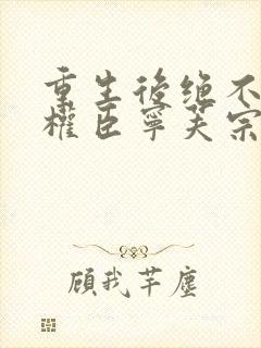 重生后绝不嫁给权臣宁芙宗肆阅读全文