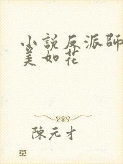 小说反派师尊貌美如花