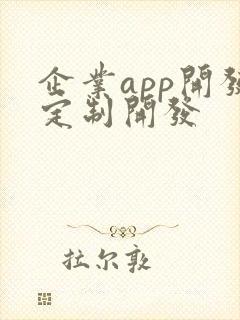 企业app开发定制开发
