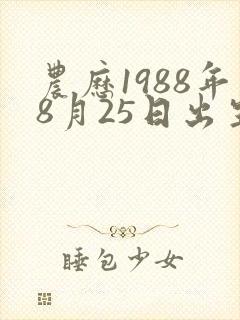 农历1988年8月25日出生命格